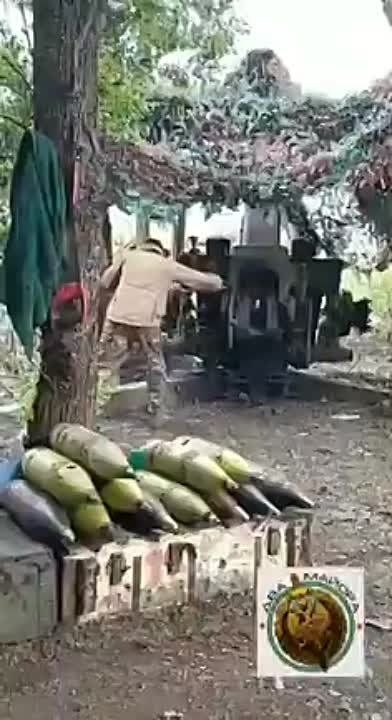 ��� ������: ��������� �����������, ����������� ��������� �����: