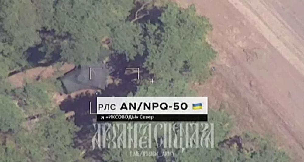 ����������� �����������: