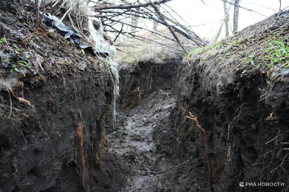 "������": �� ����������� ����������� ������������� ������ ������������ ���