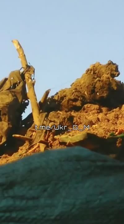 ��������� �������: ���������� ������������ ���������� ����� ������� ������������ ������ �� ���� ����� ������