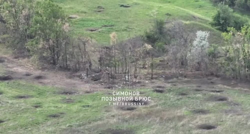 � ������ ������������ ����� � ���� ����� ������� ����������