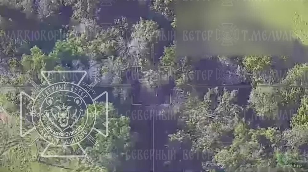 ����� "���������" �� ���������� ������������