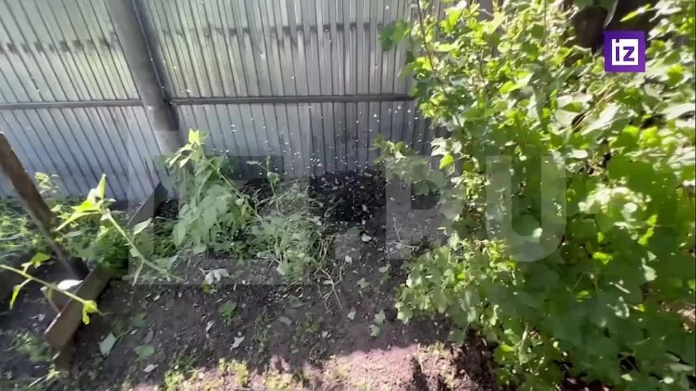 ��� ���������� ��������������� ����������� ���������