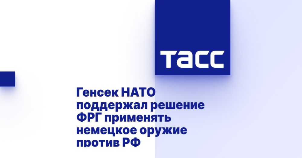 Генсек НАТО поддержал решение ФРГ применять немецкое оружие против РФ