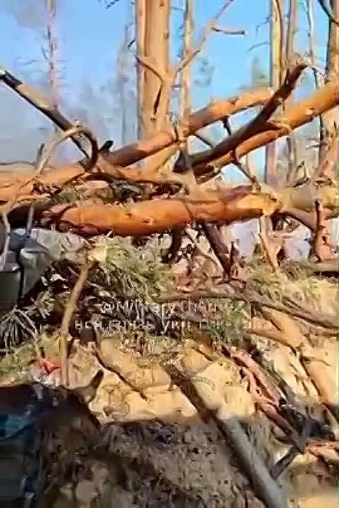 Видео с той стороны. ВСУшник в кременском лесу жалуется, что с утра им раздолбали блиндаж, потом по позиции работала БМП, а затем им подожгли позицию, а потушить нет возможности из-за рассыпанного боекомплекта