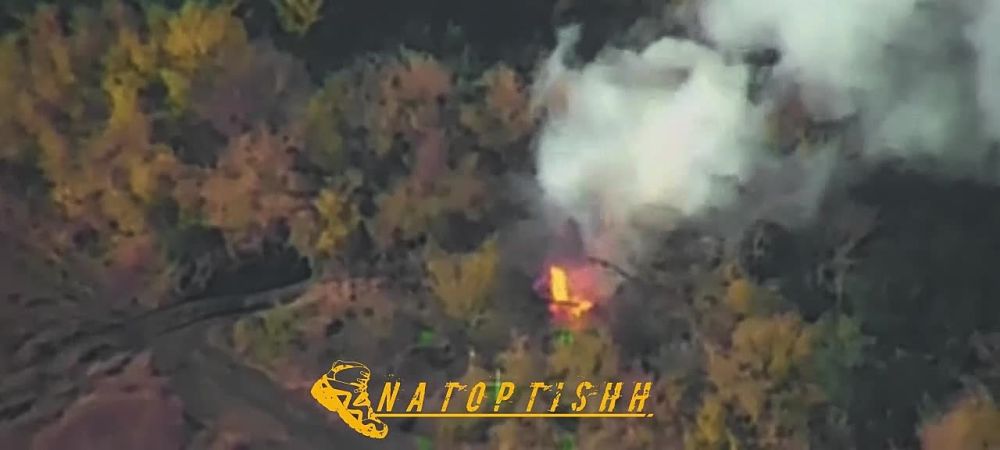 ������������ ����������� "�����" ������ ���������� ������ ����������� ������� ���������� �� ��������� �����������