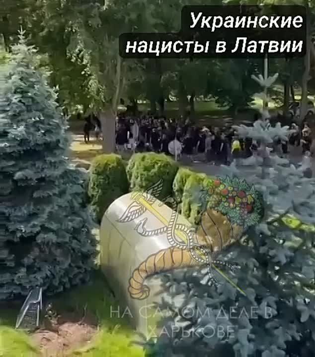 ��� � �����. ���� ��� ����� �������