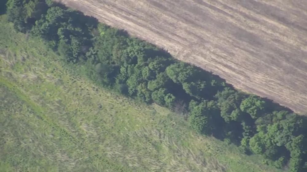 ��� ������: ����������� �������, �������