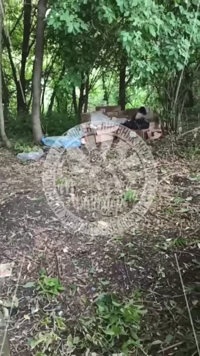 ����������� �����������