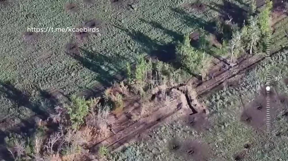 ������� ���� ������� ��� �������� ���������� 14-� ������� �� ��������� �����������