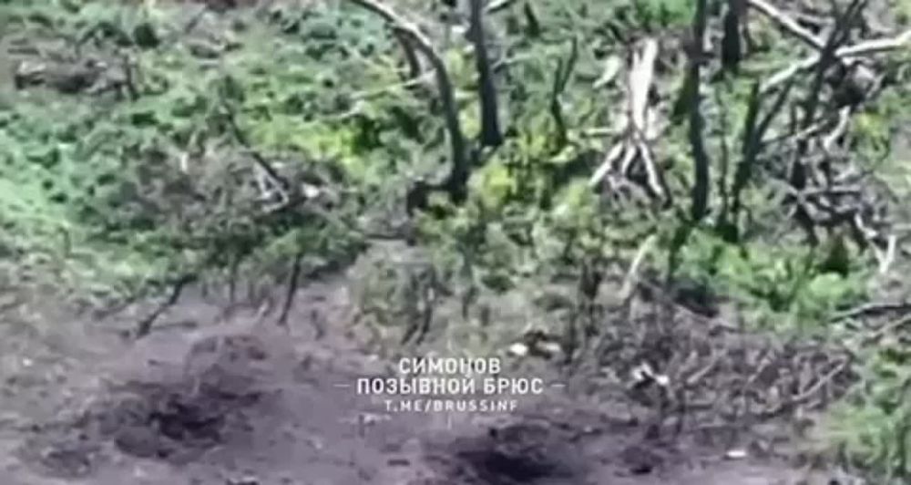 ������������� �������.. � ���� � ���� ����