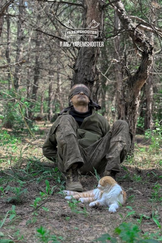 ���� �� ������ ������� ������� ��������� � ���������� �����������