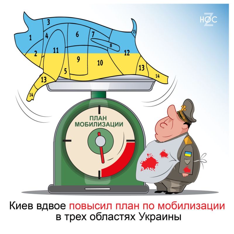 �������� ����� ������� ���� �� ����������� � �����������, ������� � �������� ��������, � ����� �� �������������� ����������� ��������� ����� ����������� �������