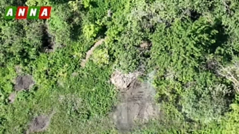 ������������������� ������� 1-� ����������� �� ������ � ������ ������� � �������� ��� �� ��������� �����������, ����� �� �������������� @anna_news