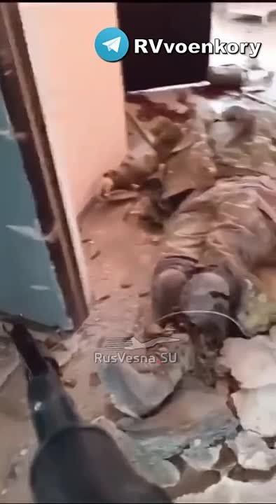 "��������" ���������� ����������� � �����������