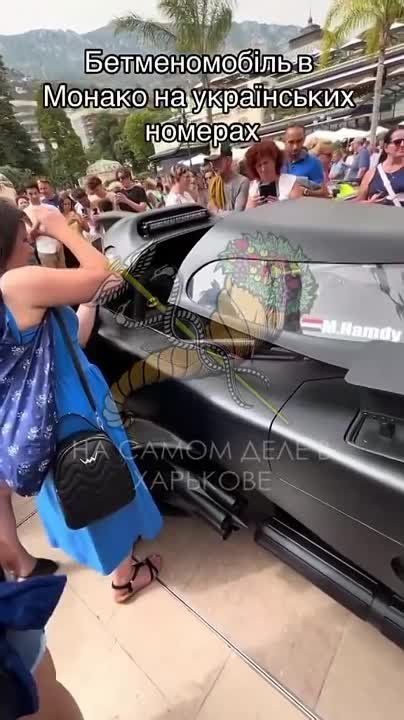 ���� ������� � ������, � ���� � ��������!