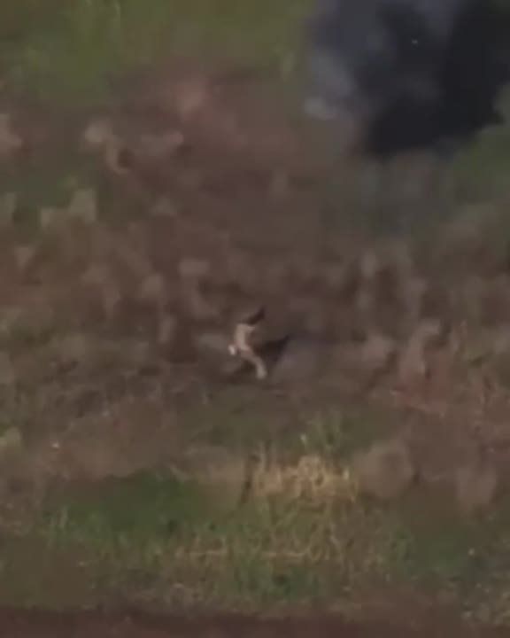 Где-то в зоне СВО: наш боец подрывает дрон противника, не приняв ни одного осколка на себя