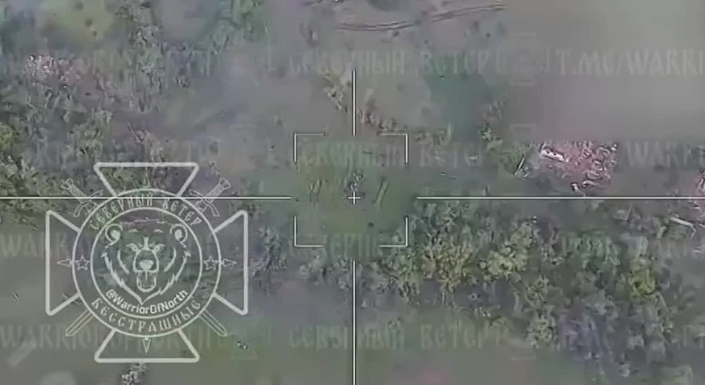 ����������� ����������� ���-4� "�������" ��� ������-��������� "������" � ����������� �������