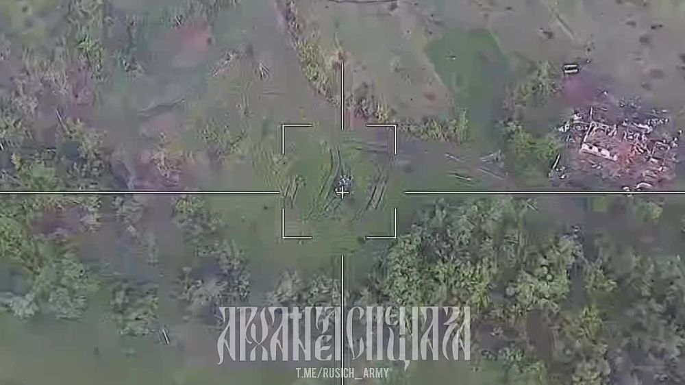 ����������� �����������, �.�