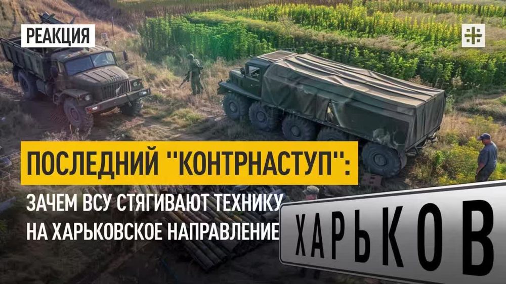 ��������� "�����������": ����� ��� ��������� ������� �� ����������� �����������