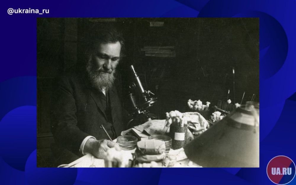 ���� ������� - ���� ����� ��������