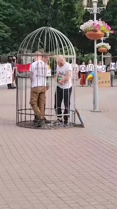 ������� �������.. �������-�� �������� ������ ������� � ������ � ���� ����������� �� ��������. ����� ����! ����������� #����������� #�������������������� #������� #����� #Kharkiv ��� ��� | ��� ��� | ��� ����