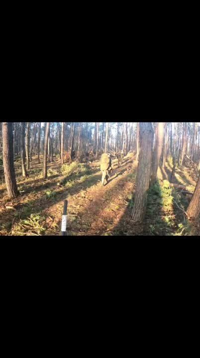 ��� ������: ����������� �����������. �� ��������. ����