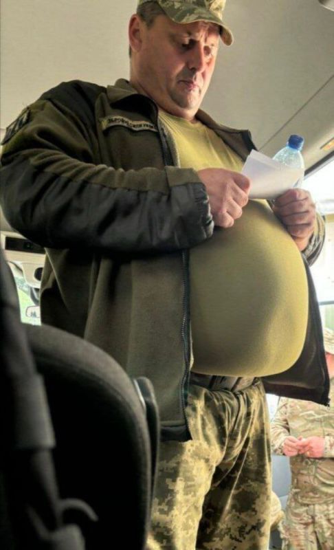 ������ ����������, ������ ����������� ��������