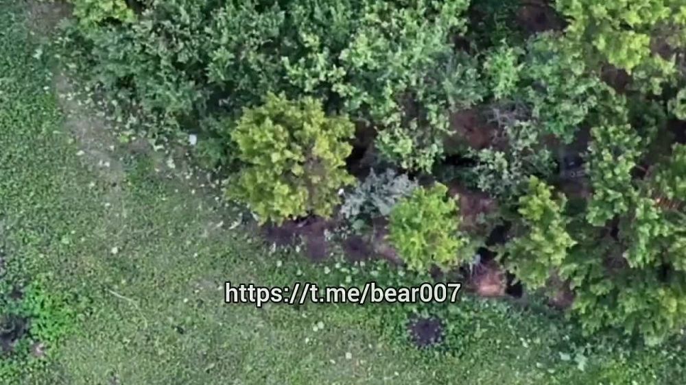 ����� ����� ������ ����� ������ �� ����������� �����������