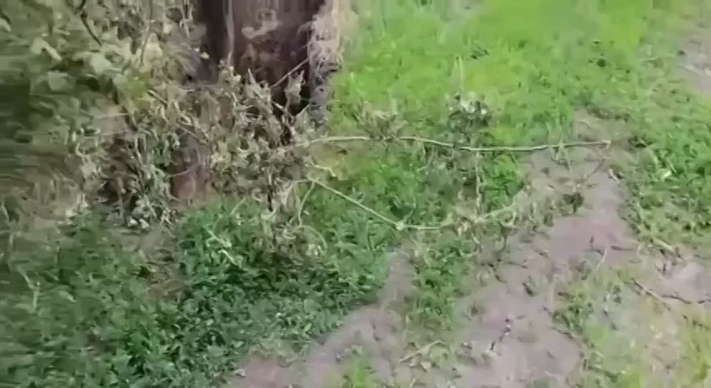 �� ��������� ������������ ����������� ������� ������� ��� 238 ��������� ������