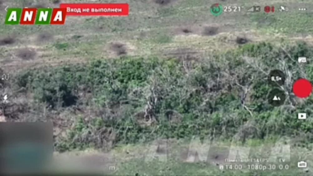 ������������������� ���������� 1-� ����������� �������� ����� �� �� ���������� ��������� ������, ������� �������� �������������� � ������ ���� ������������ �� ��������� �����������, �������� ������� @anna_news