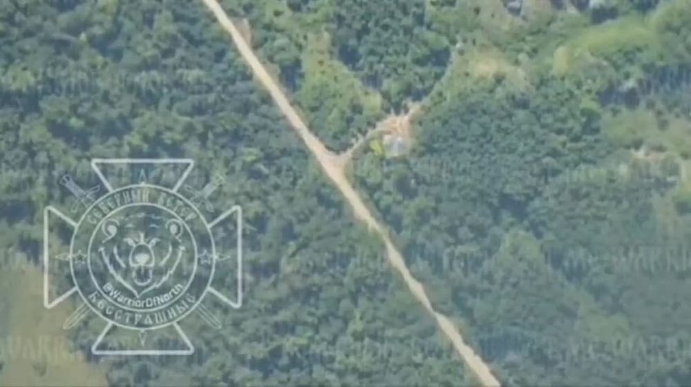 ���������� ��������� � ����������� ������� ��������� � ���������� ������-��������� �������� 155-�� ��� PzH-2000 ��������� ��������� Bild �� ������ �� ���������� ��