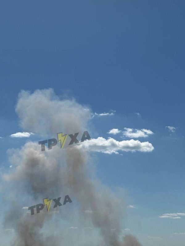 ���� ��������: �������. �����. �����. �� �����