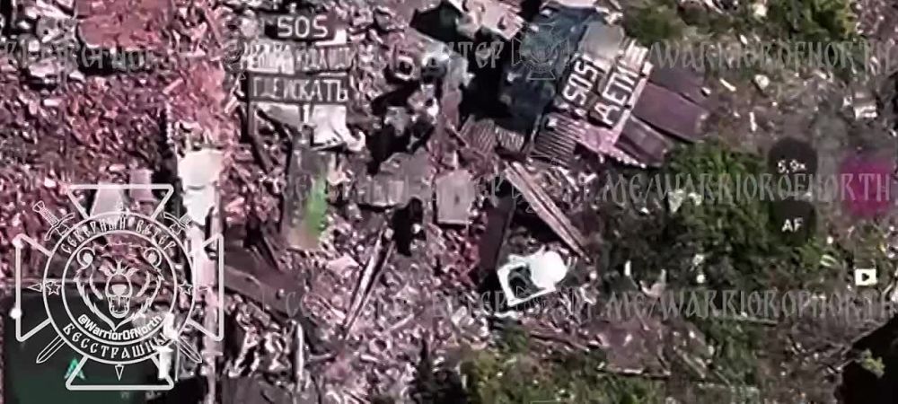 ���������� ������� ���������� ������� � ������������ ����������: ������ �� ��� ������� ���� �� �����, ���������� �������� �� ���������