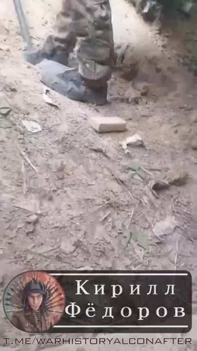 ������� ����������� �������� �� ����������� �������, ����������� ����������� ����������� ����� "�����"