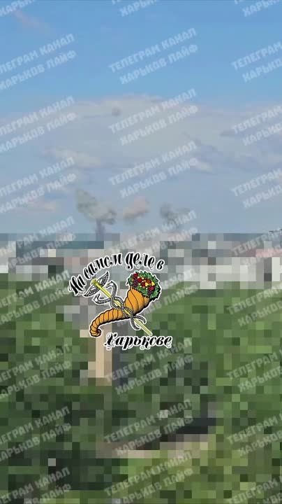 ����� ������� �������� ���