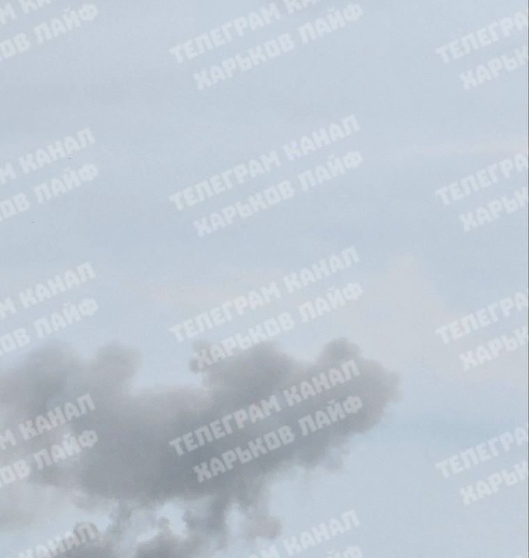 � �������� ������ ������ ������