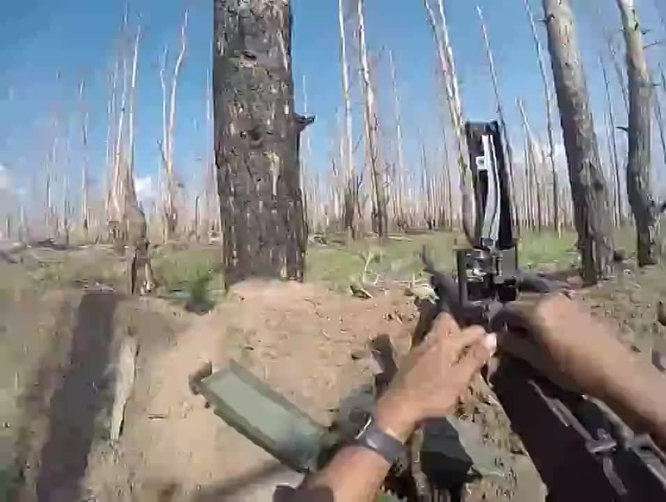 ��� ����������� �� ����������� ����������� ��������� �� ��������