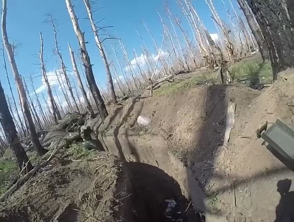 ��� ����������� ��� ������� ������������ ��������