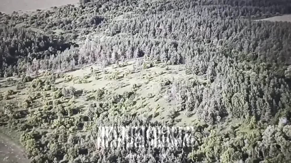 ����������� �����������