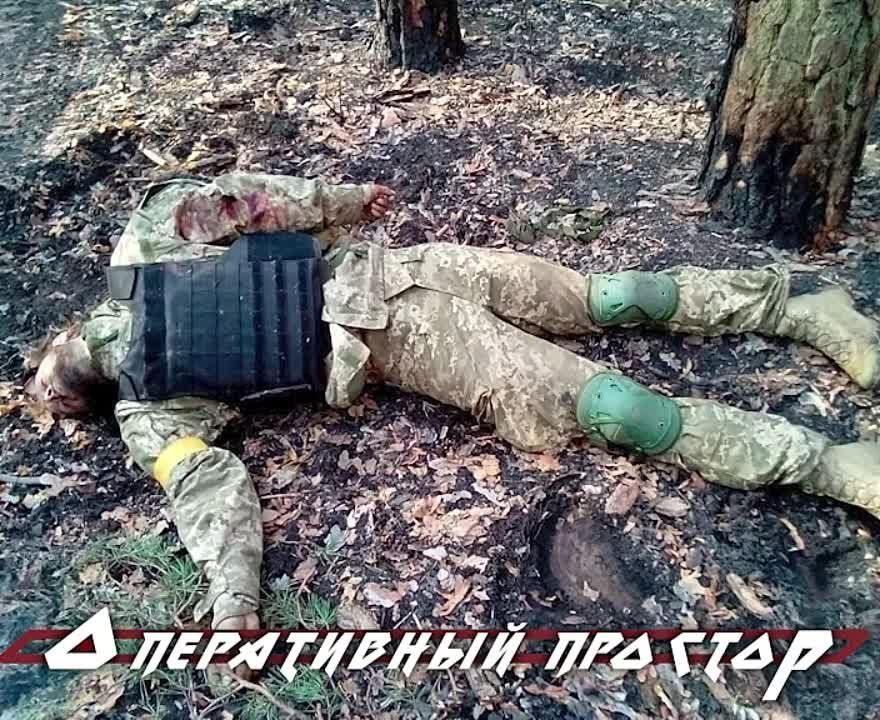 ������ ���� �� ����������� � ���������� �� ��������� �����������