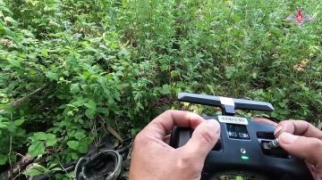  :  FPV-           