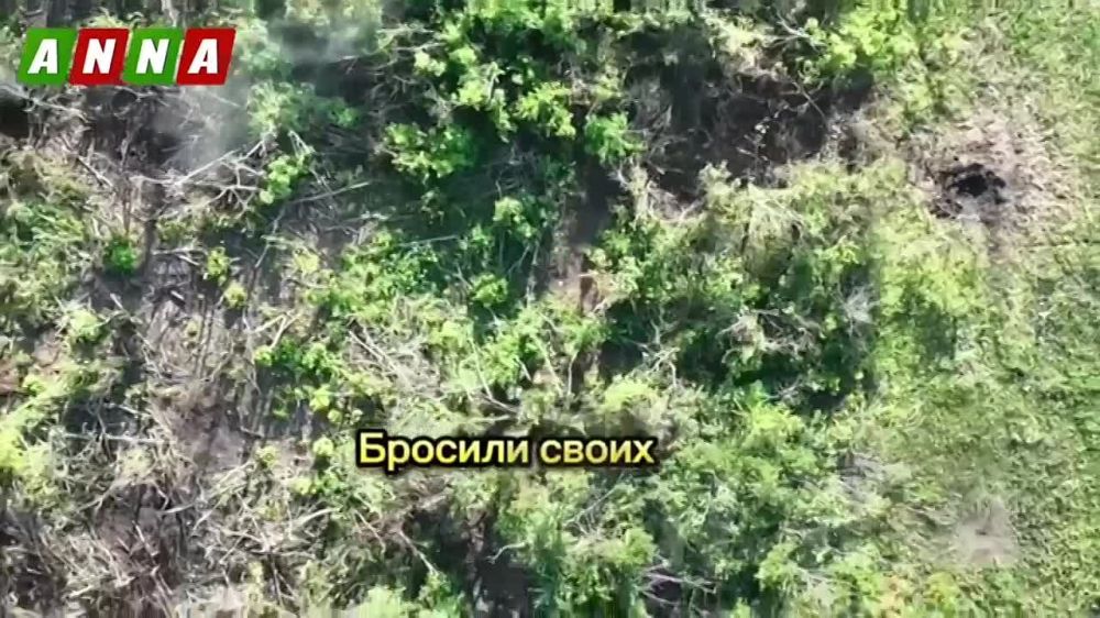 ������������������� ������������ ������ ������ ��� �� ��������� �����������