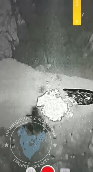 ��� ������: #������ �� ���� 29 ���� 2024 ����