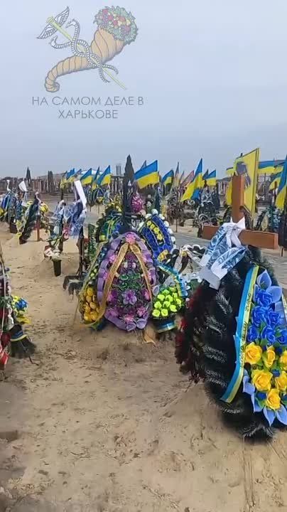 ����������� �������� ��������, ��� ���������� ����������� ����������� ��������� � ������� ���������� ����� 30 �����