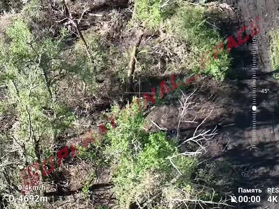 Несколько всушников сдались в плен 25 бригаде 6 армии на Купянском направлении