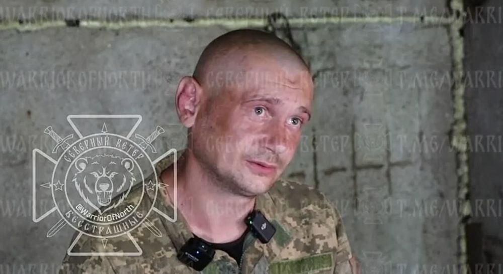 "Если бросают туда лучше сразу сдаться и не воевать!"