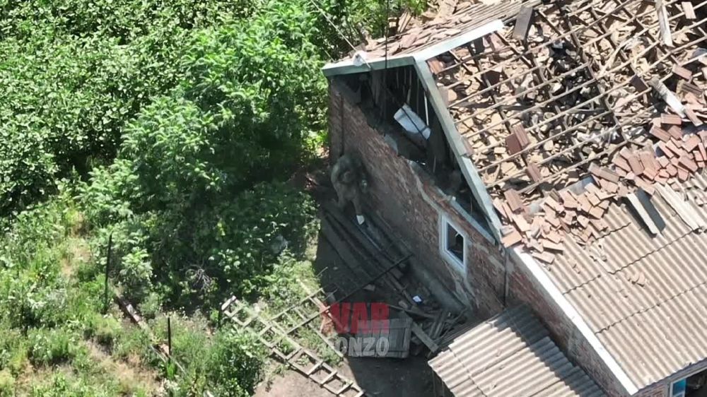 ������� ���� ����������� ��������� ���-�����, ������� ������������ ������� ���, � ������� �/�-����