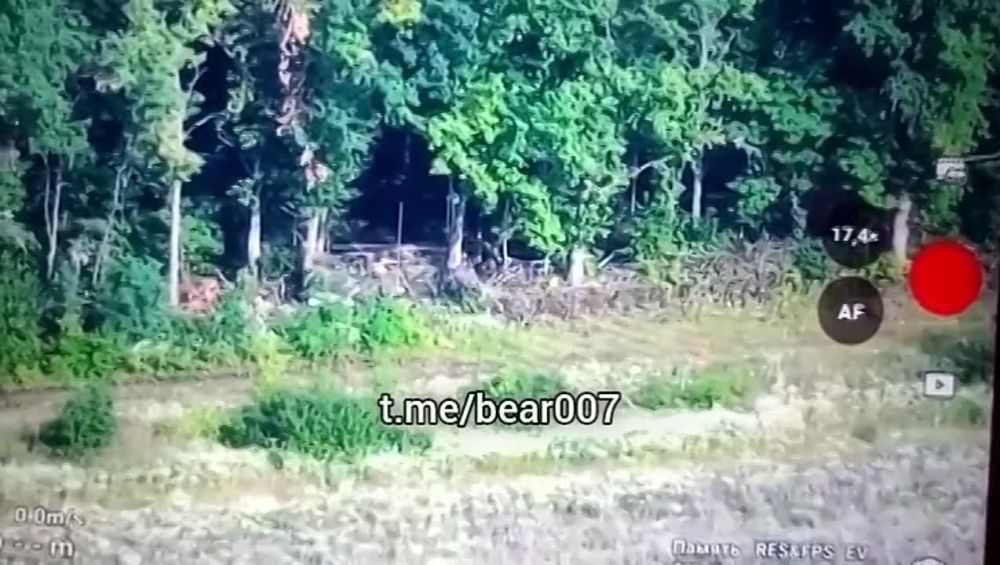 ��������� �������: ����� � � ������������ ����������� ����������� ����� ���� � ������� ����������: