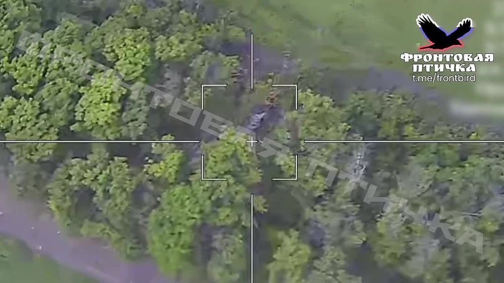 ������ ������� �� �� 777 ���